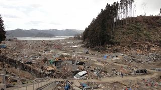 DSC00178.jpg