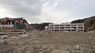DSC00242.jpg