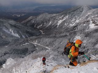 P1154666.jpg